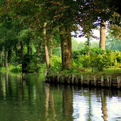 开元app下载手机版