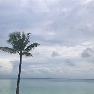 乐鱼app下载app下载