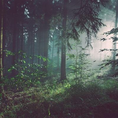 江南体育登录入口