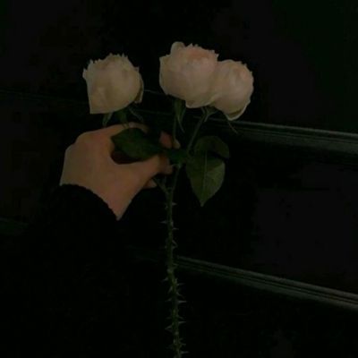 威斯尼斯wns888入口官方版下载