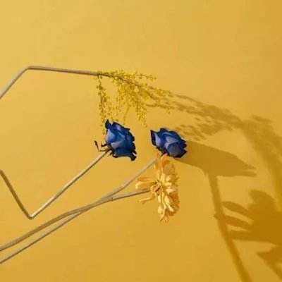 亿博体育app的下载方式